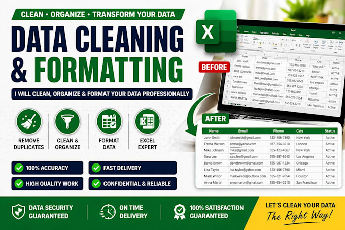 do data cleaning and formatting in excel professionally