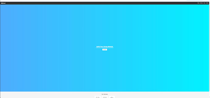 customize or edit html CSS javascript code
