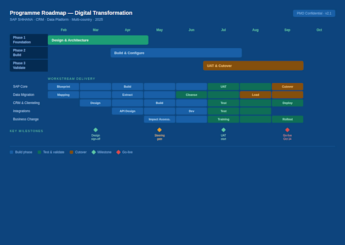 provide expert pmo and digital transformation program management consulti