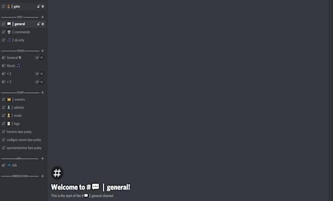 create and setup a professional discord server with bots, roles and channels