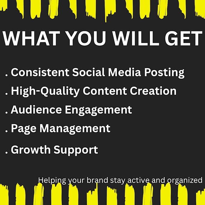 manage your social media accounts professionally
