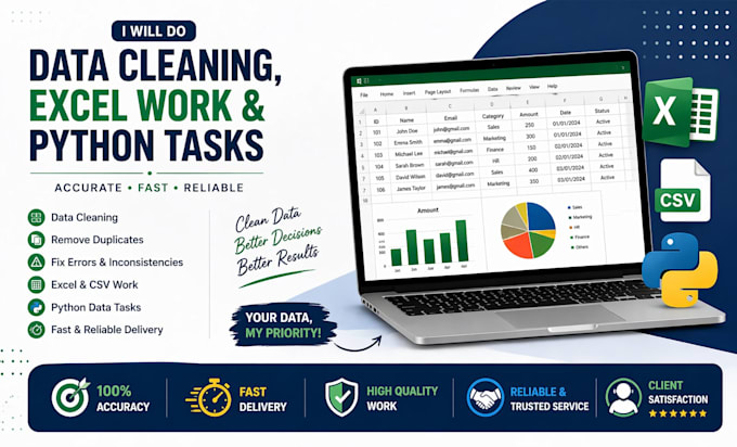 do data cleaning, excel work and python tasks
