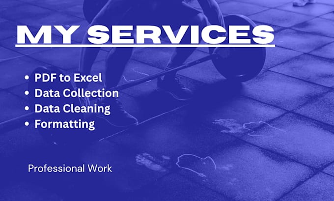 data entry and excel spreadsheet work