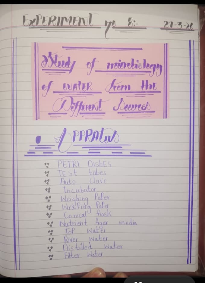 do professional handwriting ,assignments and notes