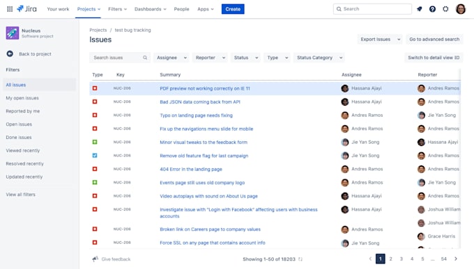 test your web app and provide detailed bug reports