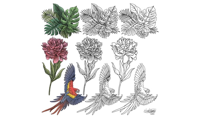 Create detailed line art and printable coloring pages by Afshinaminiart ...