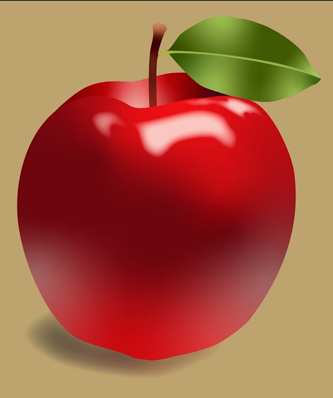 manual vector trace your image