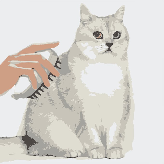 draw a vector illustration