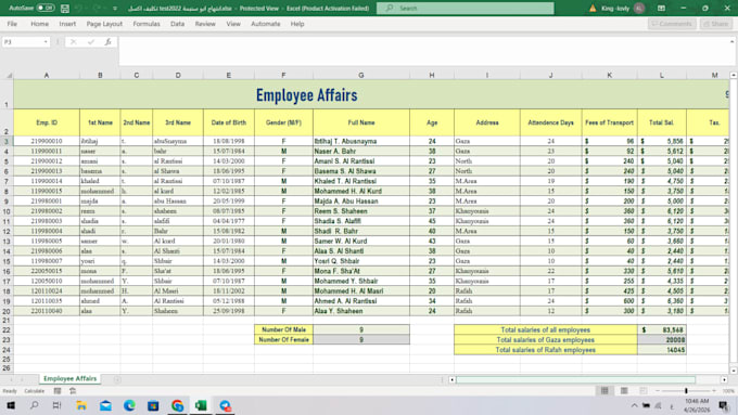 create professional excel data analysis