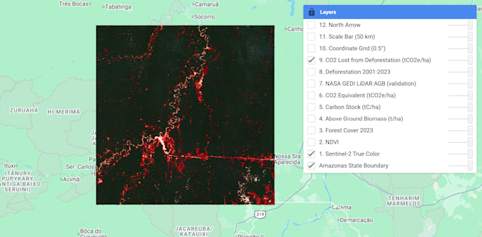 perform forest carbon stock and biomass mapping using satellite data