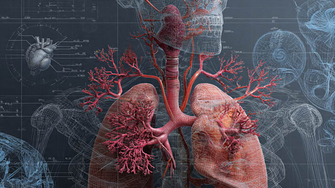 draw detailed medical illustrations