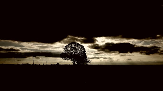 create stunning nature and landscape photography