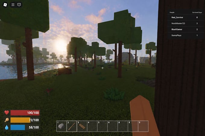 create a custom roblox game or script
