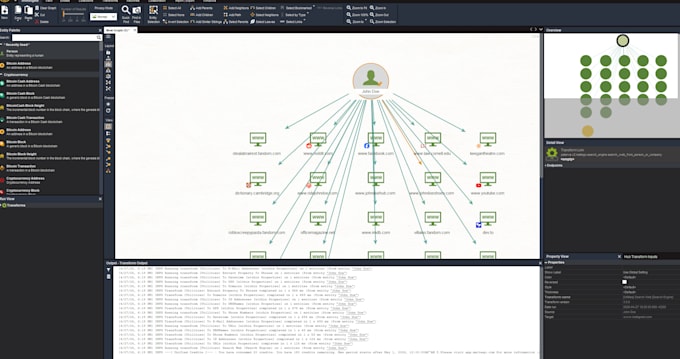conduct a professional osint online investigation