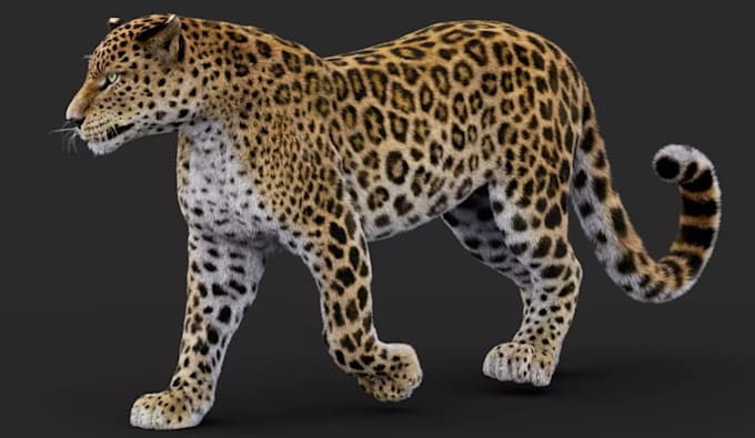 remodel 3d custom fantasy creature,vfx mammal, leopard model,xgen hair grooming