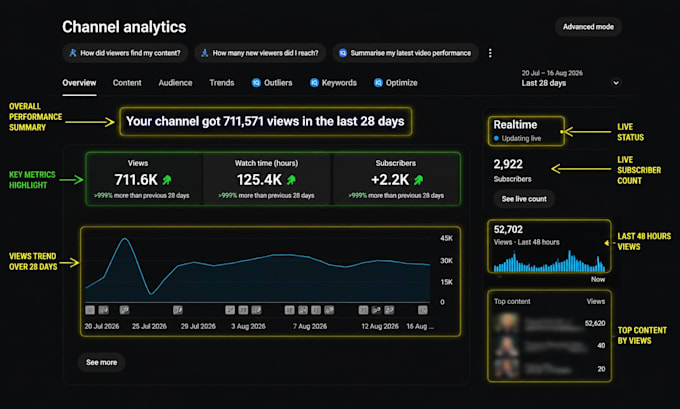 be your youtube channel manager for monthly growth support