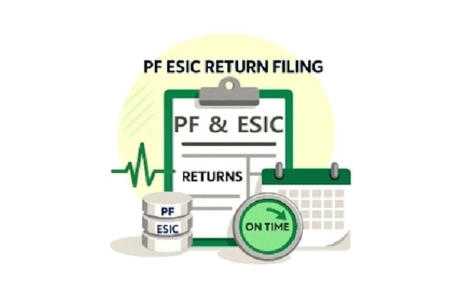 provide pf esic pt compliance support for india