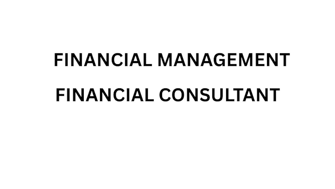 do financial consultation, financial audit