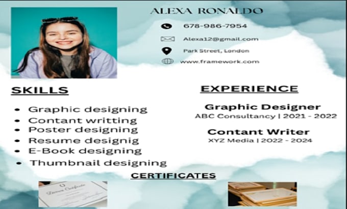design a professional resume and CV