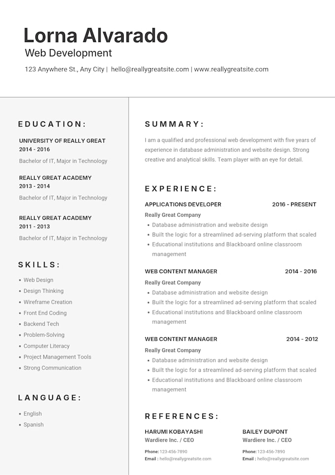 write a professional CV, resume and cover letter