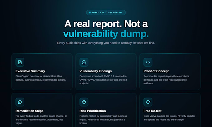 perform web application security audit and penetration testing