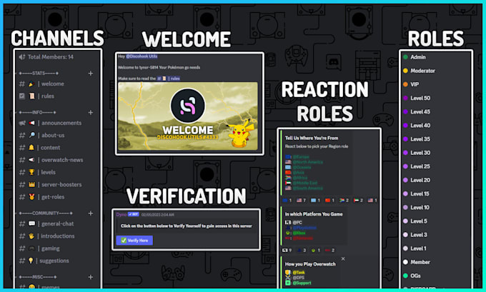 create and setup a professional discord server