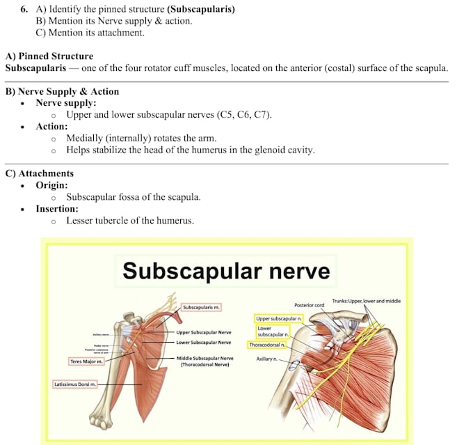 make concise and high quality medical articles and notes