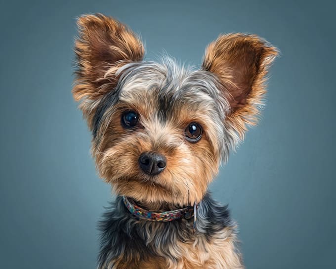 do pet portrait into cartoon disney