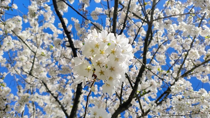 offer compassionate listening and peer grief coaching
