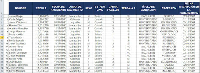 organizaré y limpiaré tu base de datos en excel