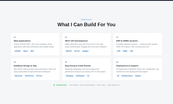 develop dot net core web apps, apis, erp, blazor solutions