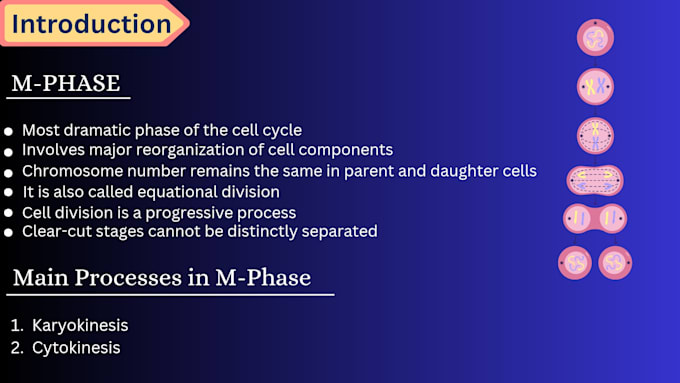 create engaging biology PPT presentations for school