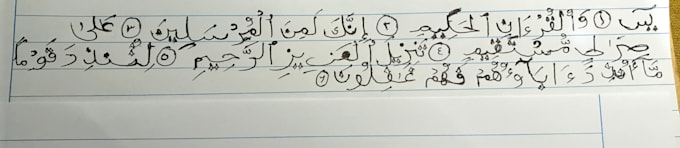 provide neat handwriting for assignment and documents