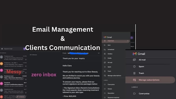 provide professional email management and web research