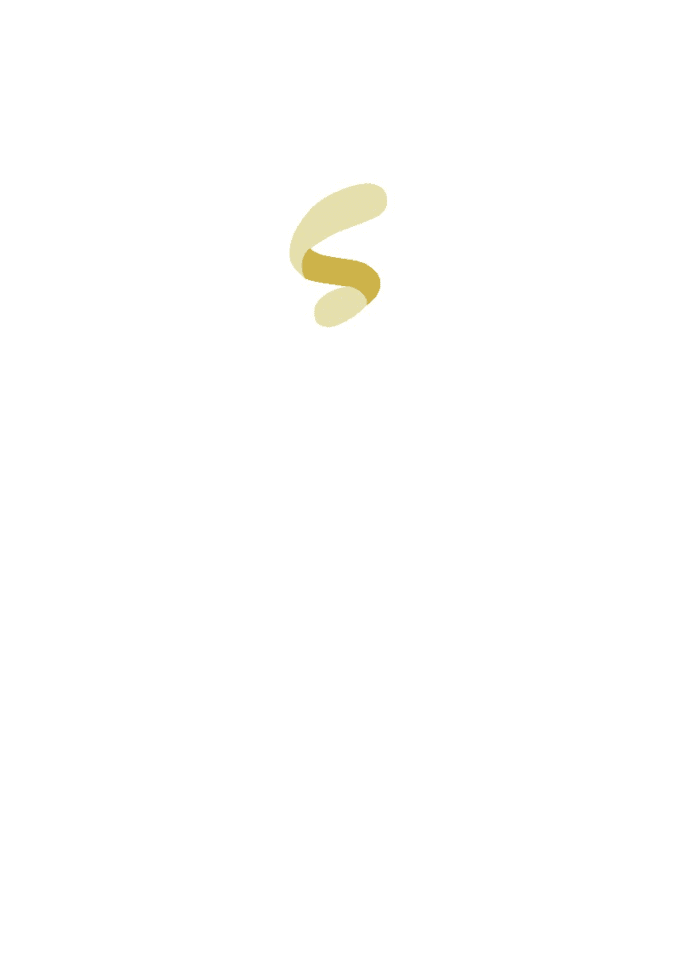 create a professional brand logo