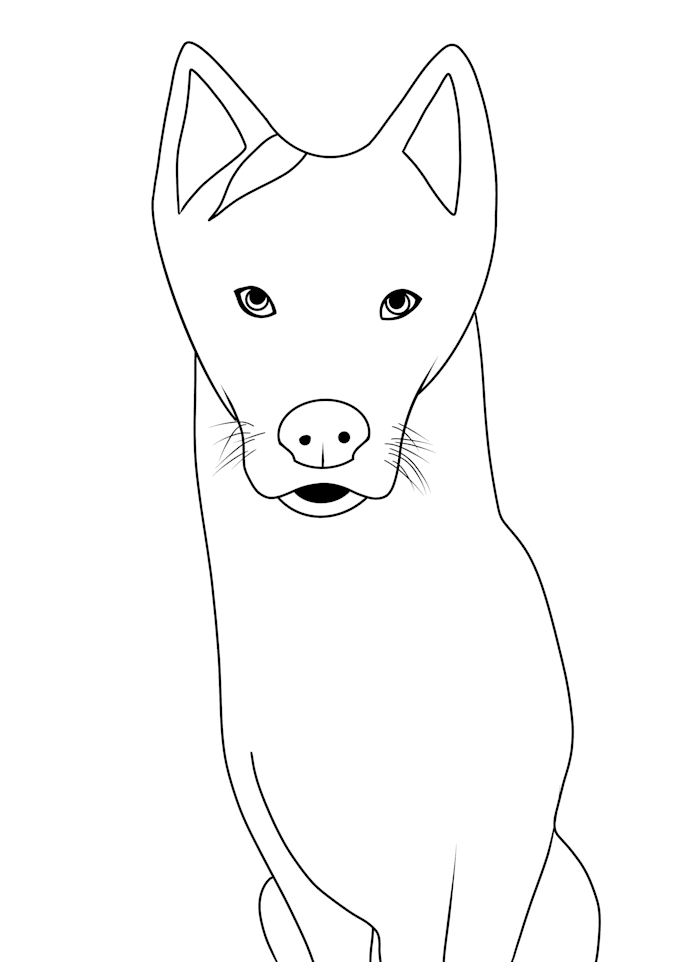 create a custom pet colouring page from your photo