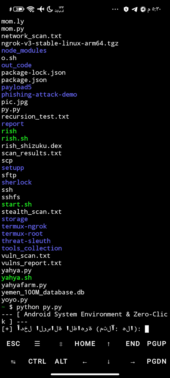 write custom python scripts for automation