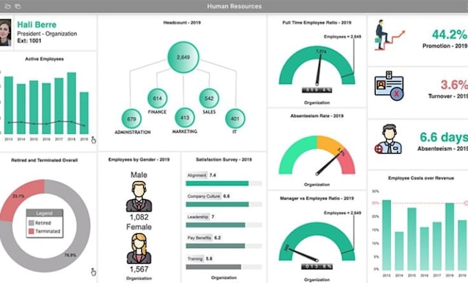 design professional excel dashboard, data visualization and automated reports
