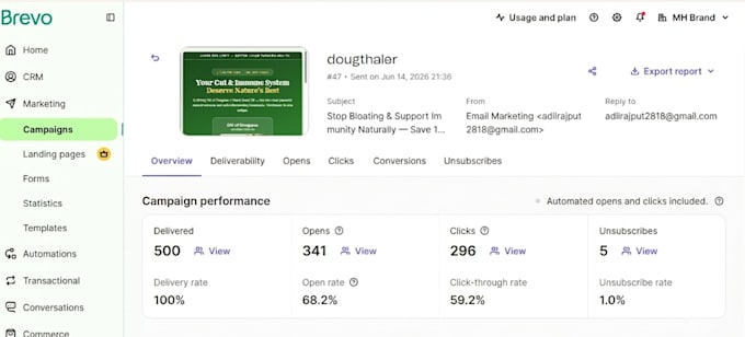 send 790 million bulk emails, email blast and email marketing campaign to inbox