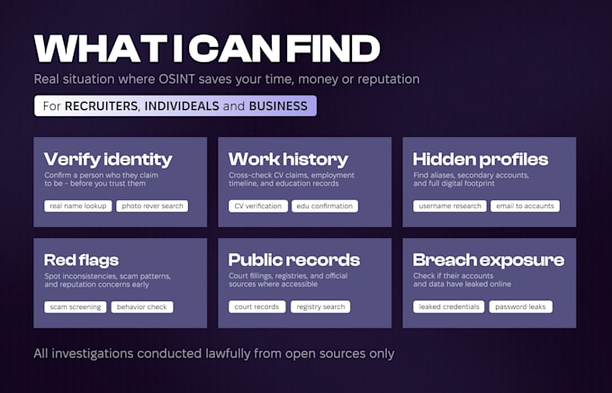 conduct a professional osint background check