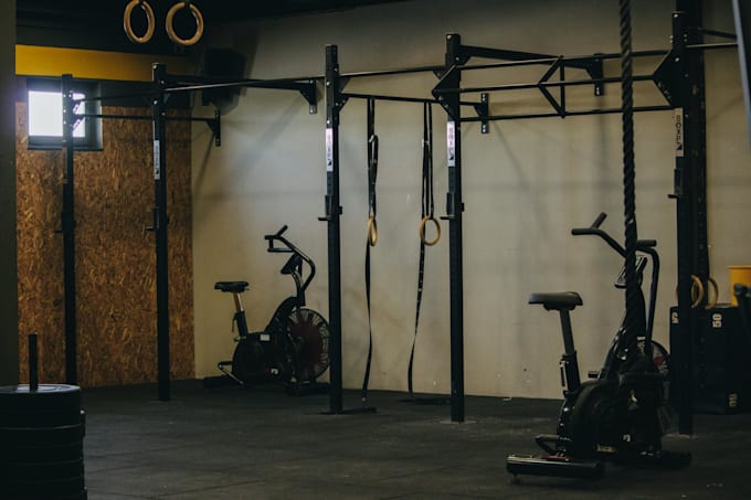 create a professional custom workout plan for you