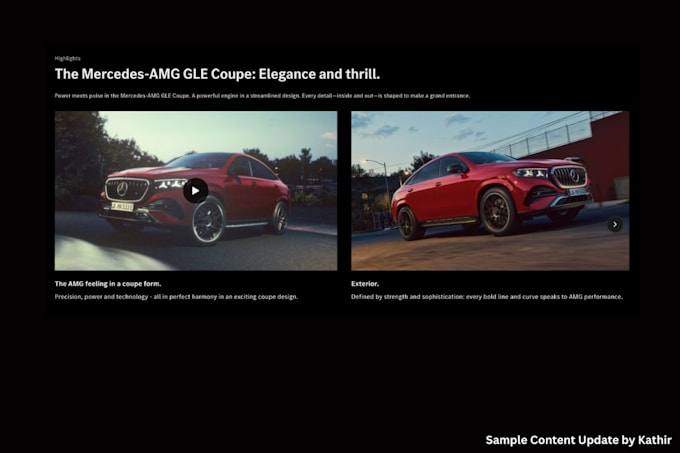 update website content, text, images and cta professionally