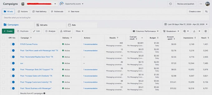 setup and manage facebook ads using  ai automation and advanced pixel tracking