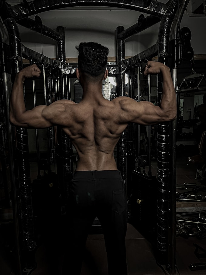 create a personalised workout plan for fat loss or muscle gain