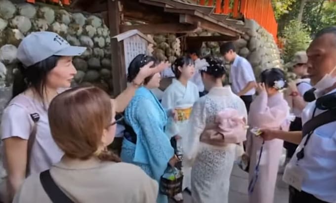 do a private car tour in kyoto
