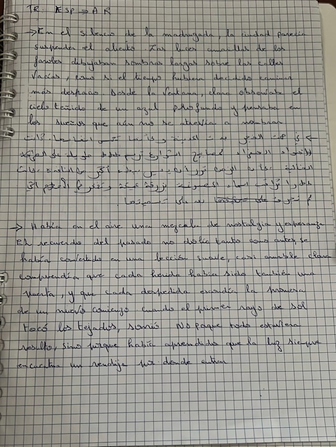translate arabic french spanish texts accurately