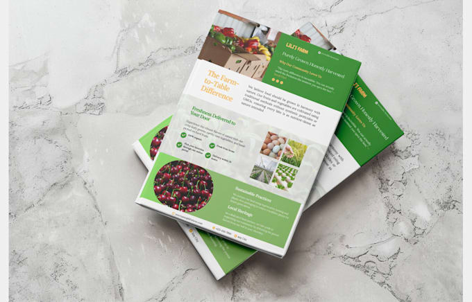 design professional flyer brochure leaflets