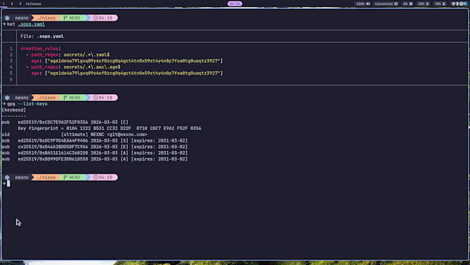 build a professional, nixos infrastructure via flakes