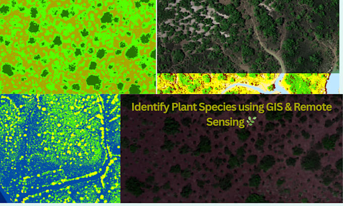 do arcgis mapping, gis, qgis,  spatial analysis