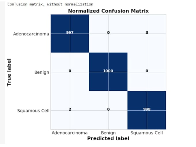 help with ai machine learning and python projects